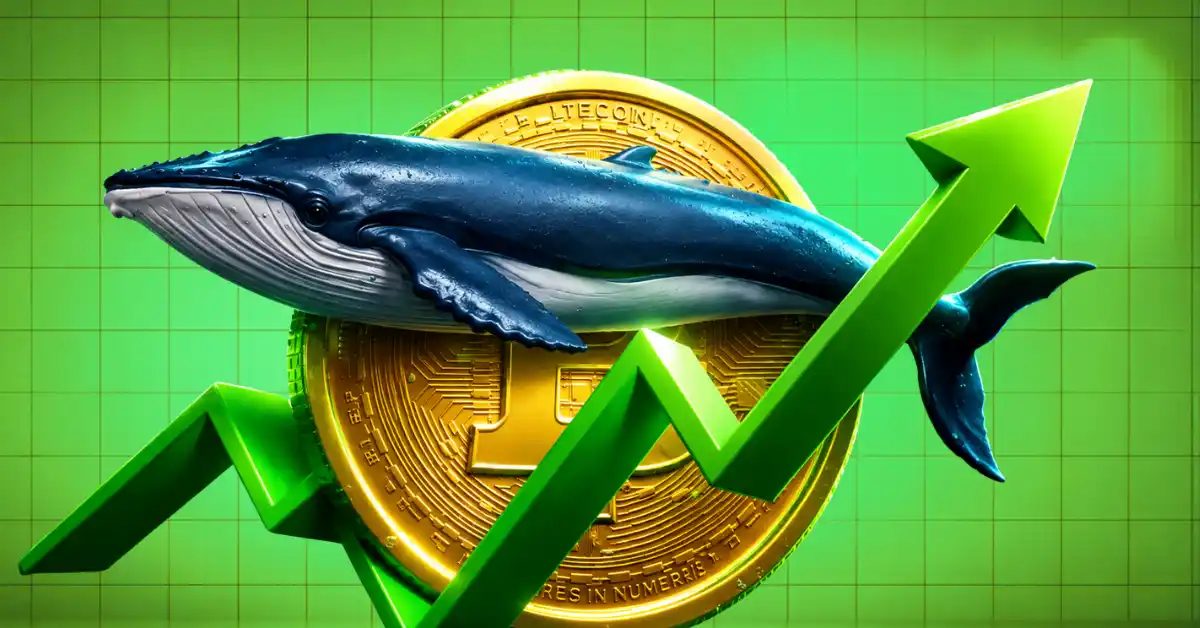 Crypto Whales Are Accumulating These Altcoins—Could Their Prices Be Ready to Surge?